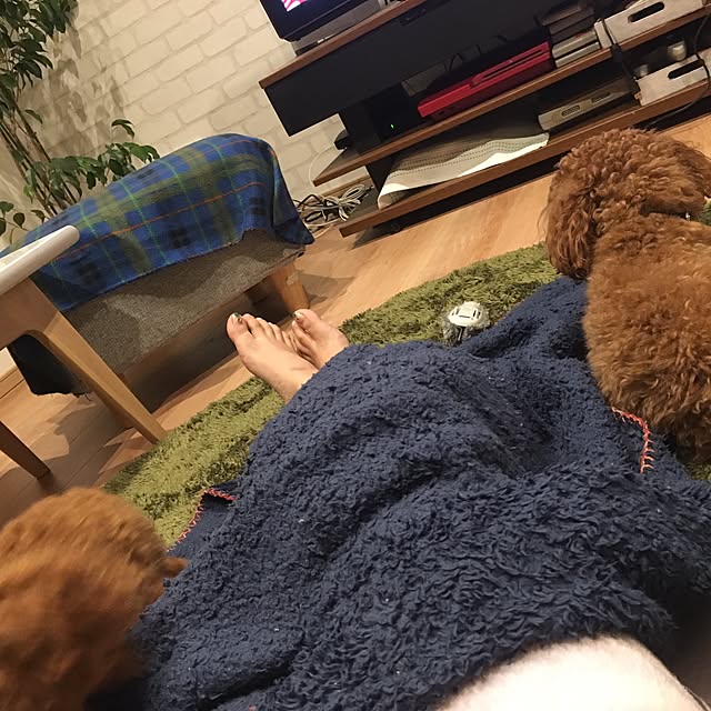 aaaairiさんの実例写真