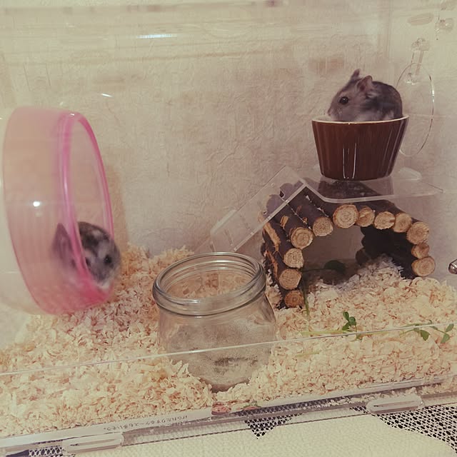 minmiさんの実例写真