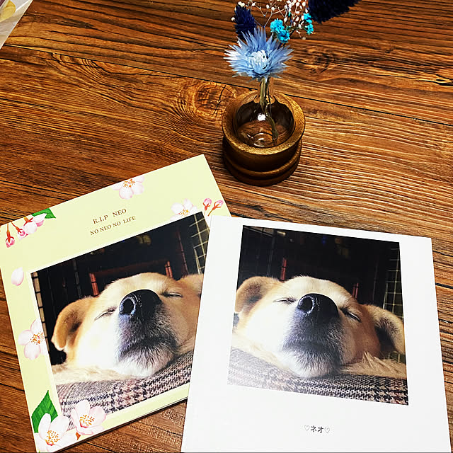 masu...さんの実例写真