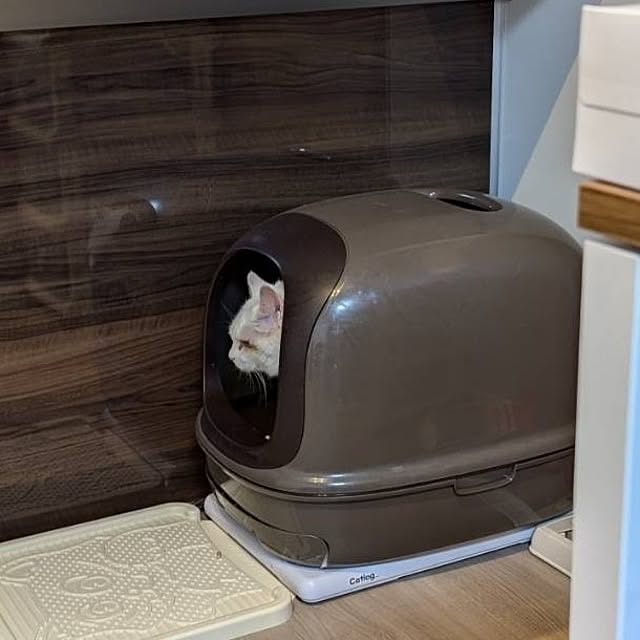 NOAHさんの部屋