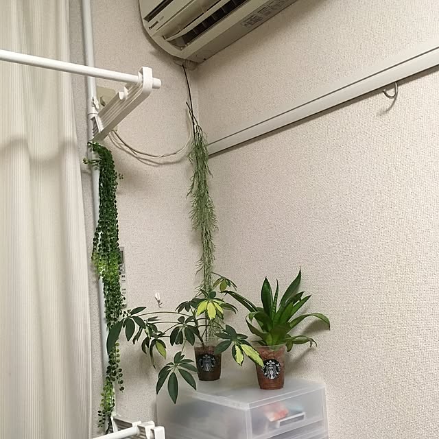 korokkoro410さんの実例写真