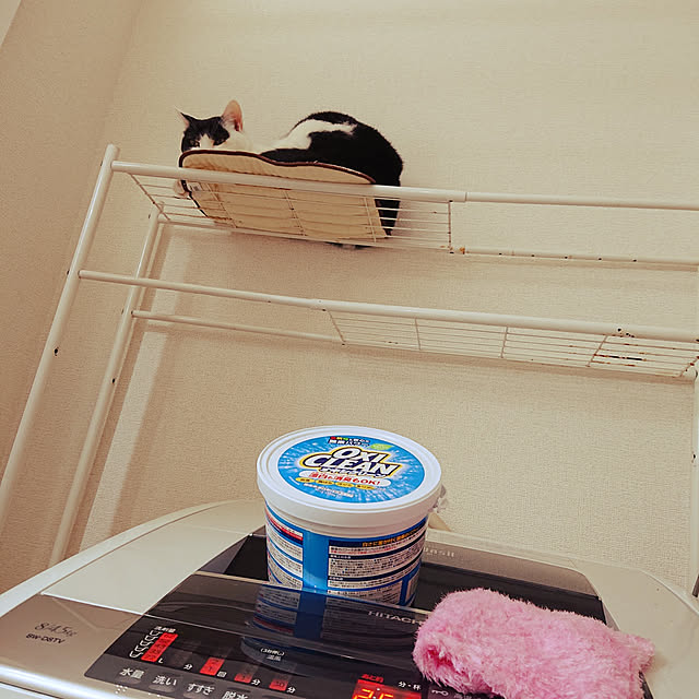 nekosamaさんの実例写真