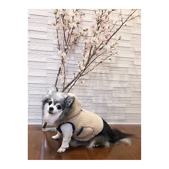 noelさんの実例写真
