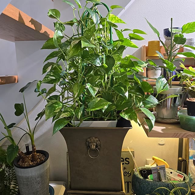 nonbiri_house_さんの実例写真