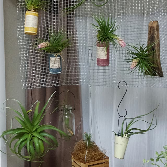 poiさんの実例写真