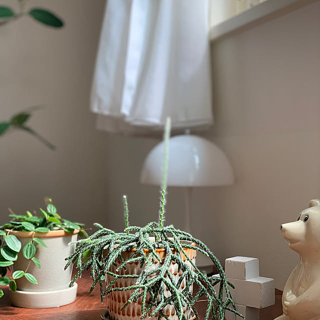 mogさんの部屋