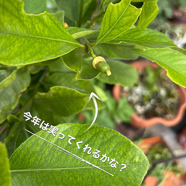 Ururuさんの部屋