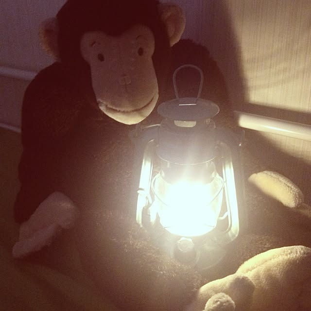 milkyel5516さんの実例写真