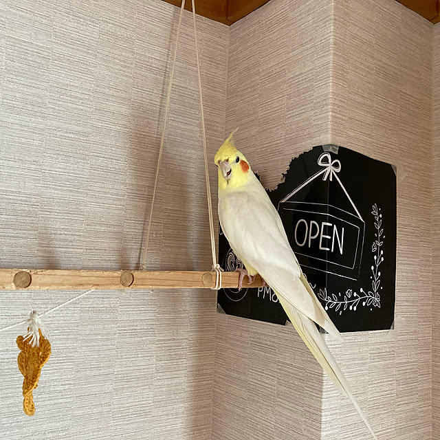 toratanさんの実例写真