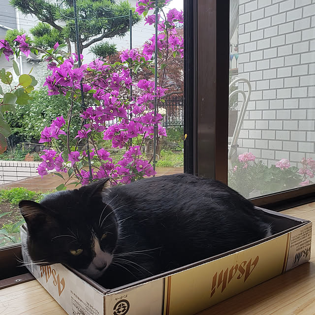 Mayumi8888さんの実例写真
