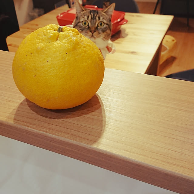mochicoさんの実例写真