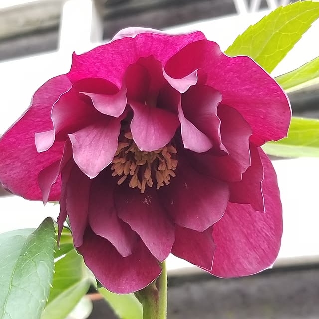 midoriさんの部屋