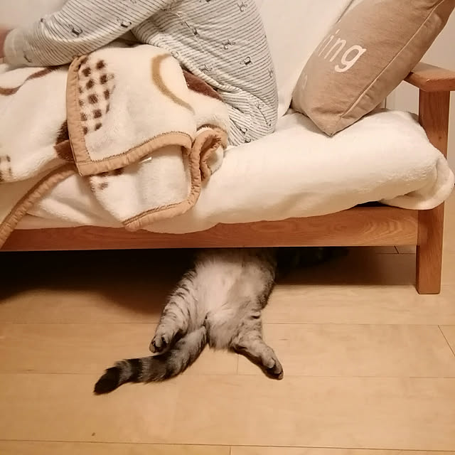 marutinoさんの実例写真