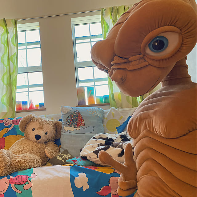 実例写真
