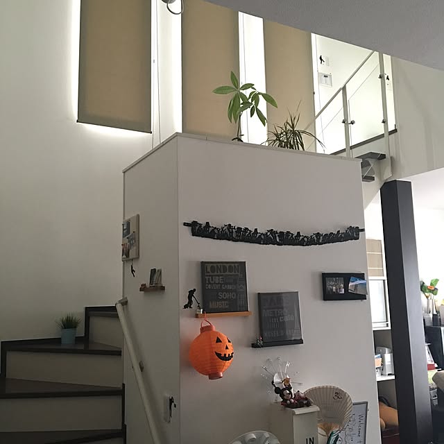 senseiさんの実例写真