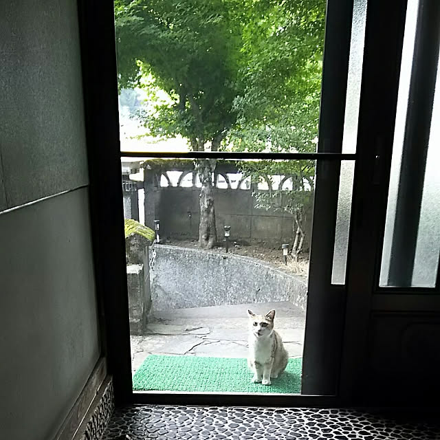 Genさんの実例写真
