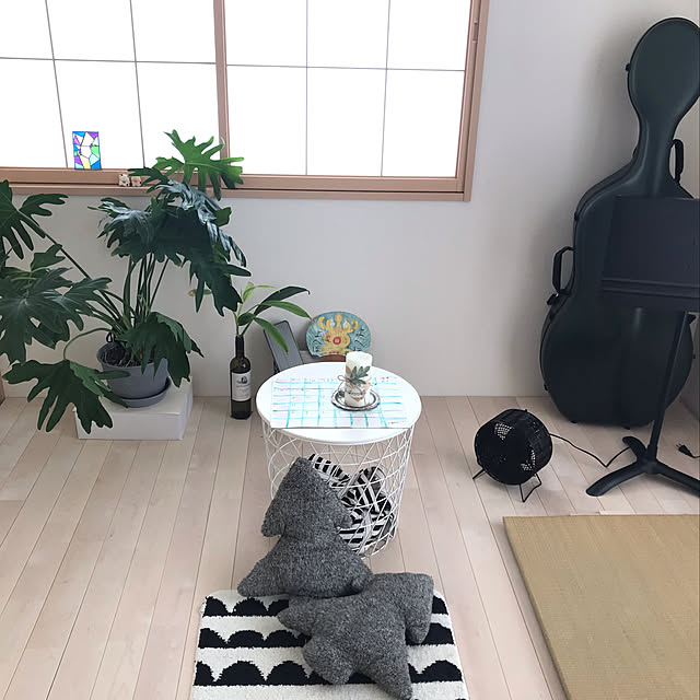 Satokoさんの実例写真