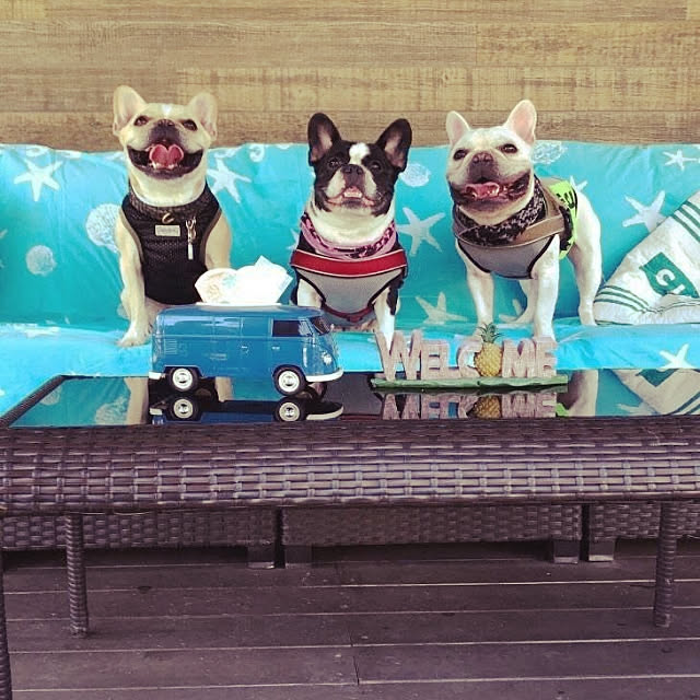 kimuneisanさんの実例写真