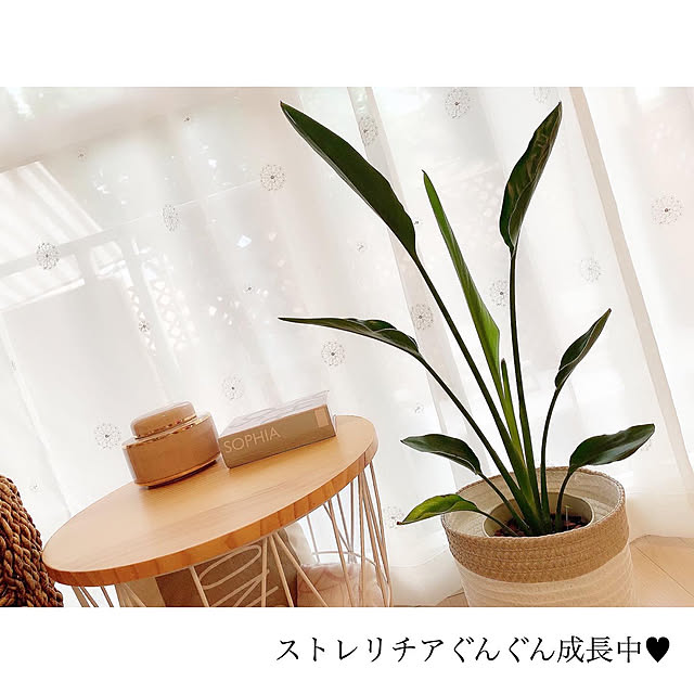 chaluさんの実例写真
