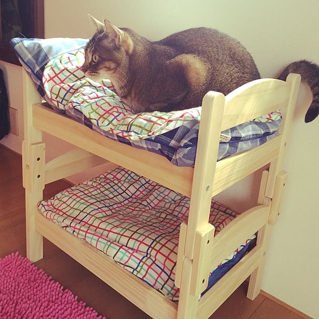 Happypinkさんの実例写真
