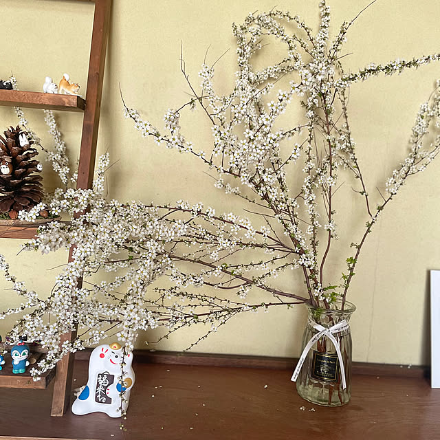 temari8さんの部屋