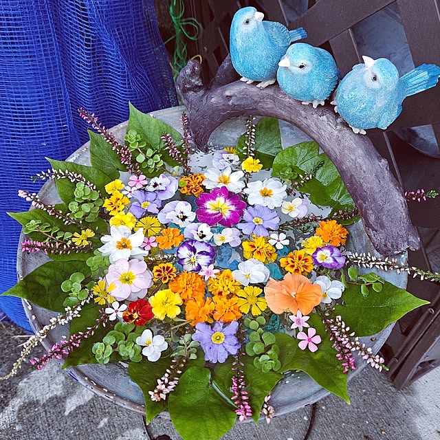 mocomocoさんの実例写真