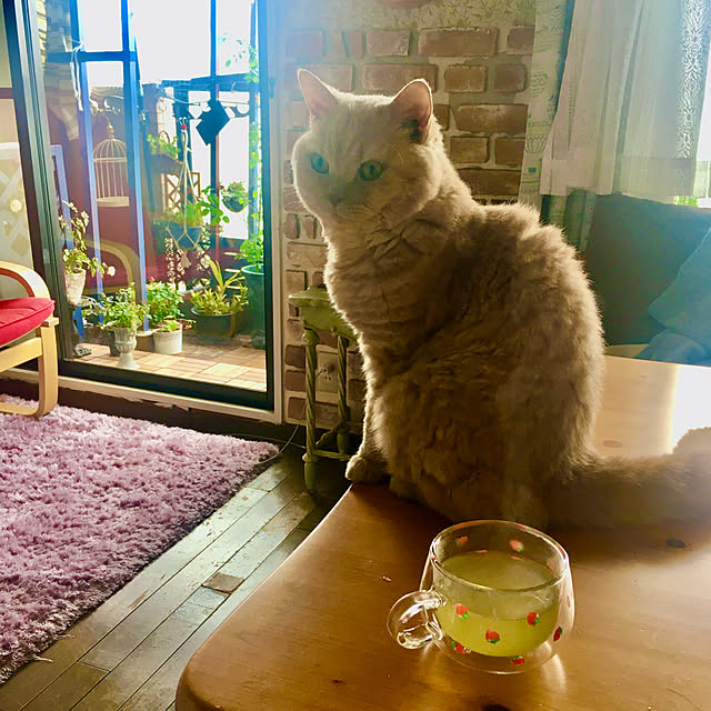 naokoさんの実例写真