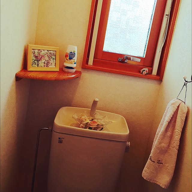 バス/トイレ/ダイソーのインテリア実例 - 2015-05-10 16:06:42