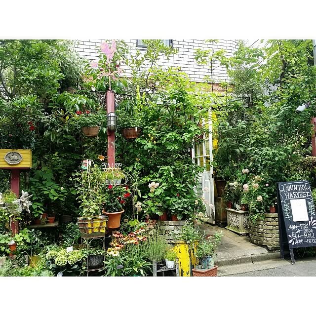 totonatuloveさんの実例写真
