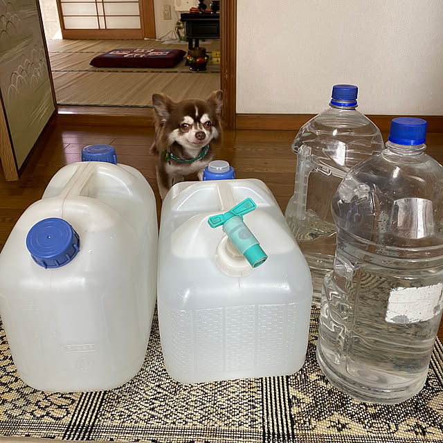 chIoeさんの実例写真