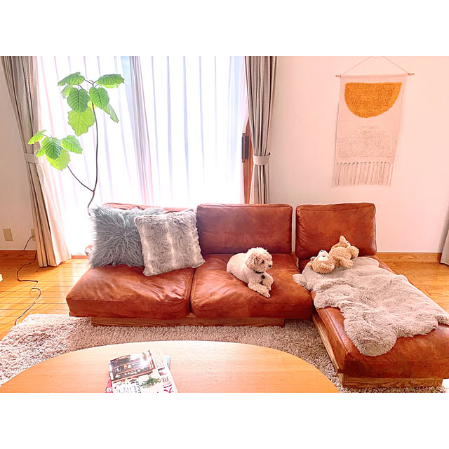 teaさんの実例写真