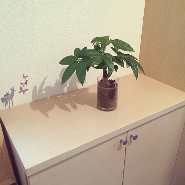 TREE888さんの実例写真
