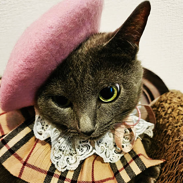 rococoさんの部屋