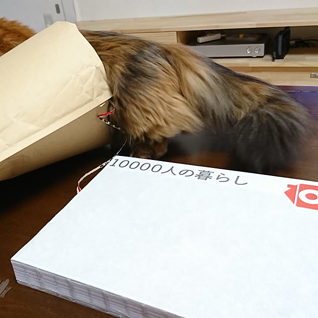 nekomajinさんの実例写真