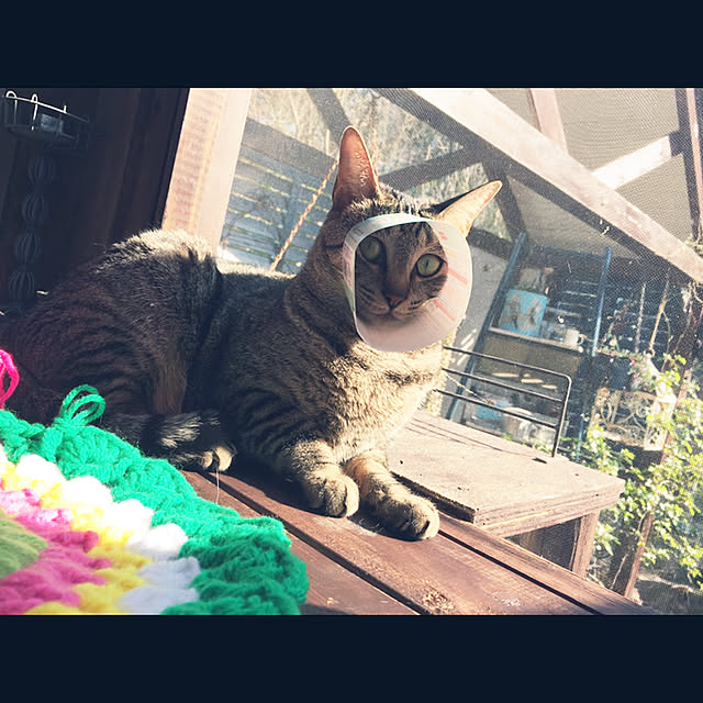marusanさんの部屋