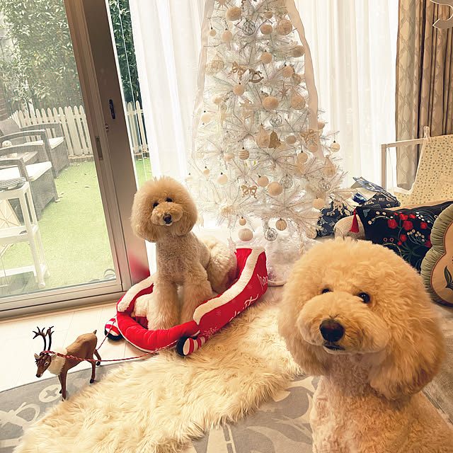 nackeyさんの部屋