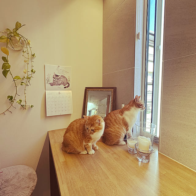 lemonadeさんの部屋