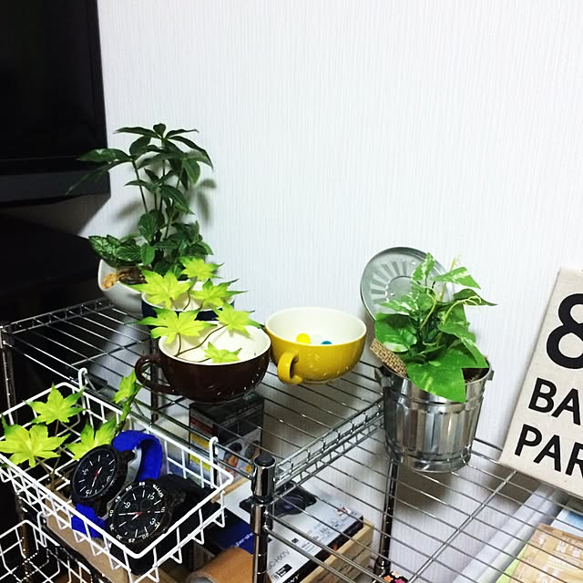 リビング/観葉植物/ダイソー/雑貨/100均...などのインテリア実例 - 2017-02-20 11:21:26