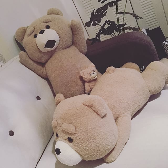 リビング/ted/一人暮らし/ワンルーム/観葉植物のインテリア実例 - 2016-08-16 01:44:33