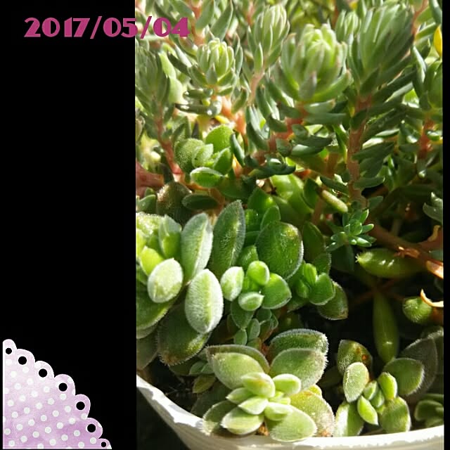 bousuke.215112さんの実例写真