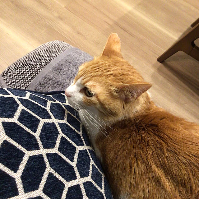 houenさんの部屋