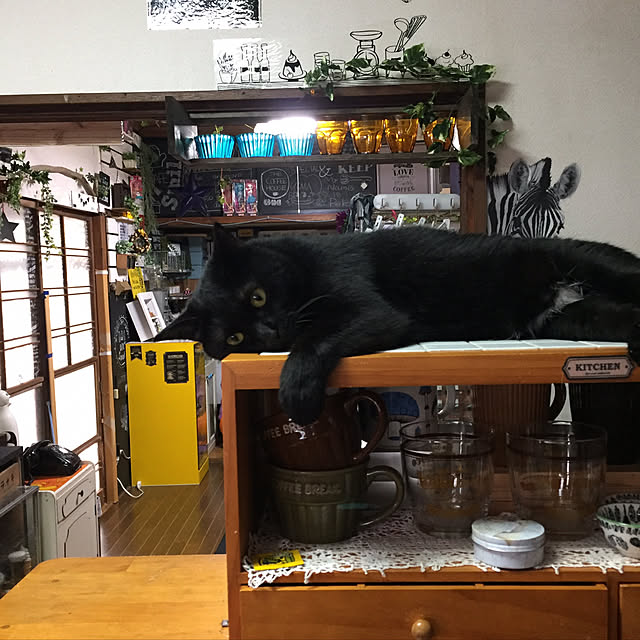 vivienne.coco-keiさんの実例写真
