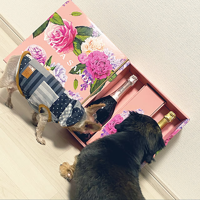 ohanaさんの実例写真