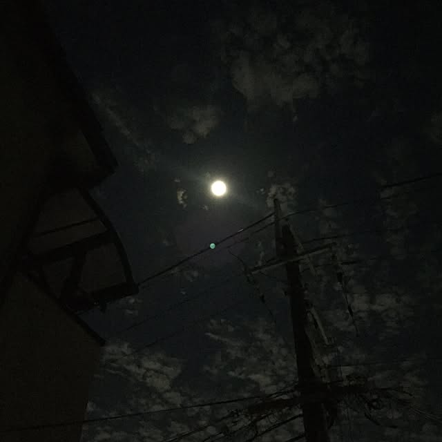 masatoさんの実例写真