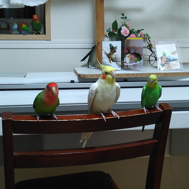 toratanさんの実例写真