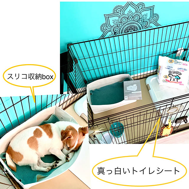 kittyさんの実例写真