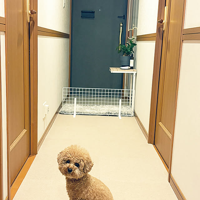 kawauso15さんの部屋