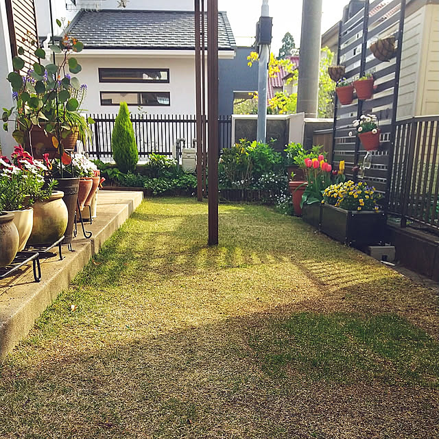Renさんの実例写真