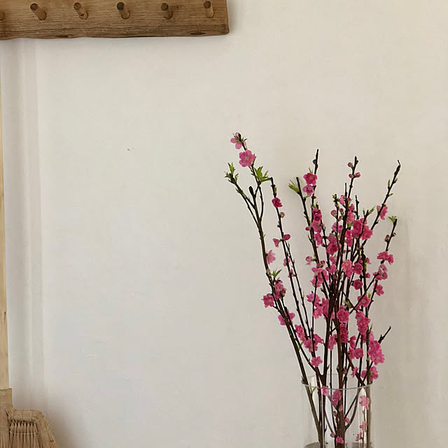 misamariさんの実例写真