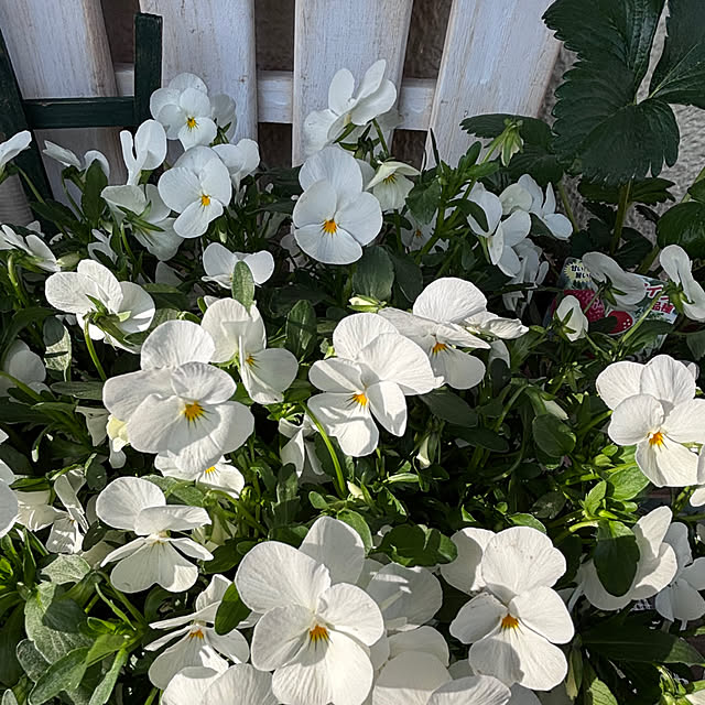 syutmmさんの部屋